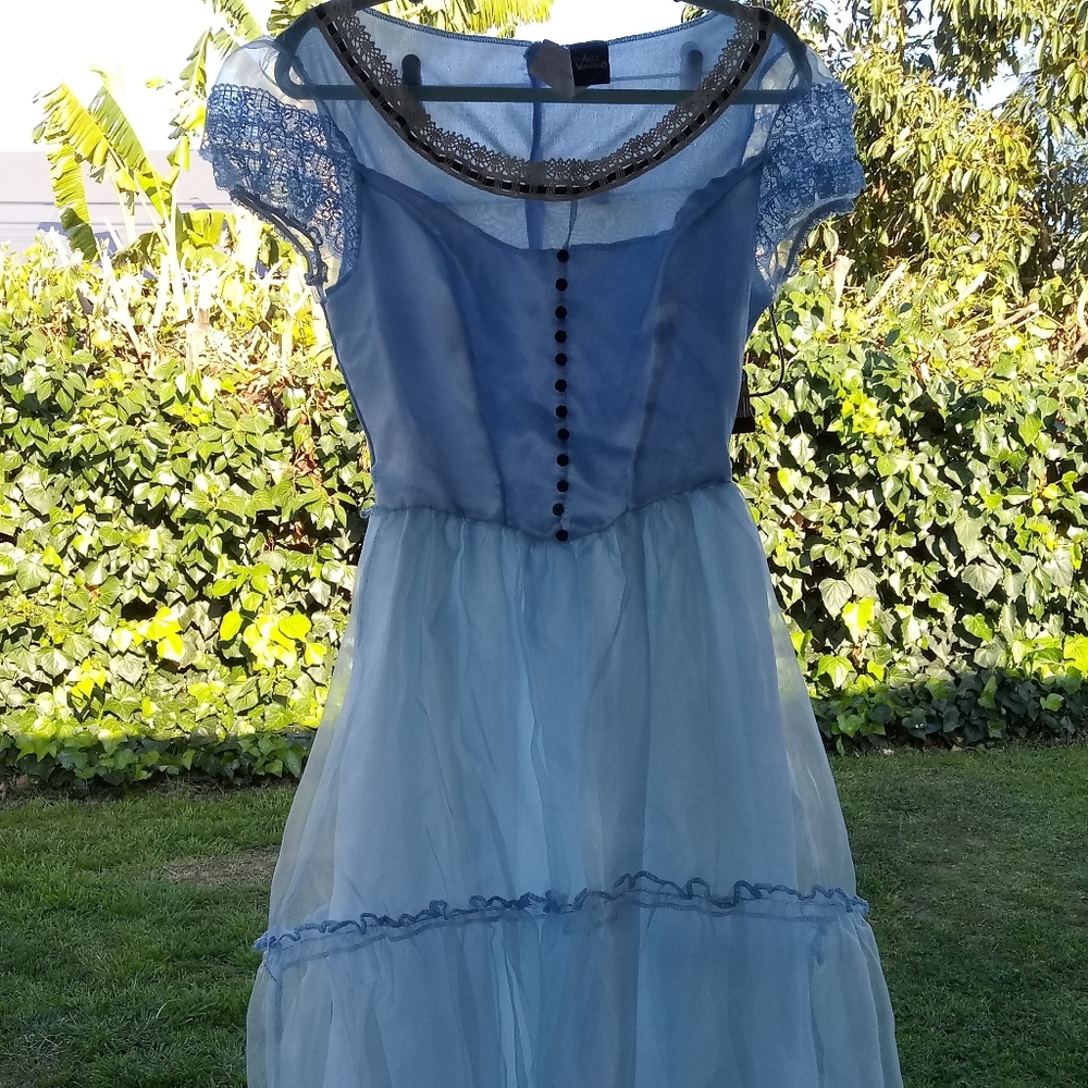 Alice in Wonderland Costume